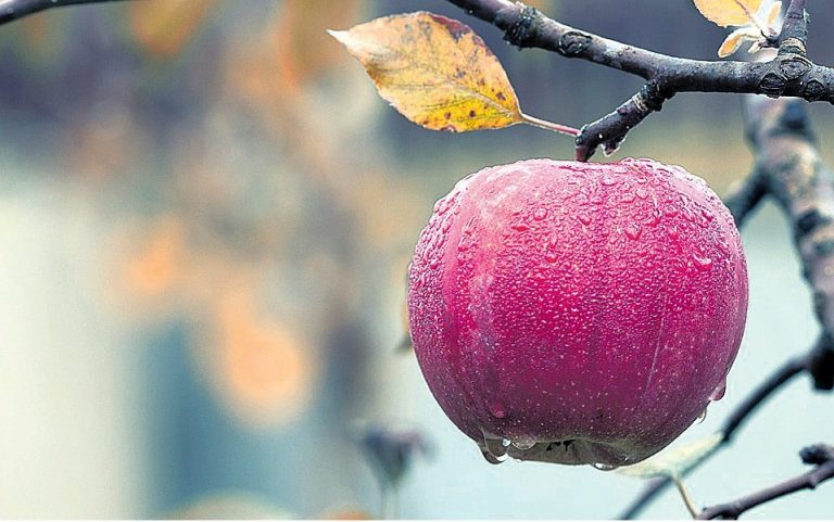 ראש השנה הצבת מטרות התפתחות והצלחה עסקית השקעות נדל"ן